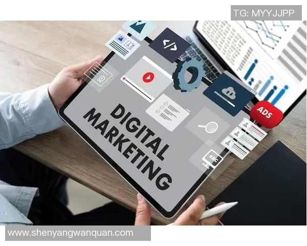 探索vs英文版的魅力与特色，揭示其在全球文化中的影响力与应用场景